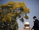 'It's a sad day for democracy when states flout SC's orders'