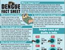 Dengue FAQ: What you MUST know