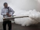 All you need to know about Dengue and Chikungunya