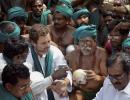 Who is behind TN farmers' protest?