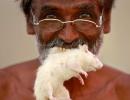 Eating mice, shaving heads: What TN farmers have been doing at Jantar Mantar