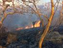 4 lakh litres of water later, Mount Abu wildfire continues to rage on