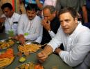 Politics may not be Rahul's calling, but it's in his blood