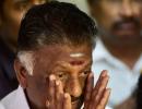 Sasikala expels OPS, Edapadi new legislature party leader