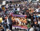 TN ordinance to allow Jallikattu awaits Centre nod