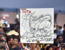 How Jallikattu protests left the State on the backfoot