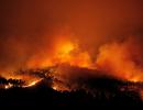 PHOTOS: Massive Portugal forest fire kills 57, injures 59 others