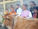 UP CM Yogi visits Aparna Yadav's cow shelter, gives tips on better upkeep