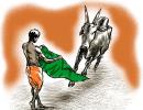 Where have India's bulls gone?