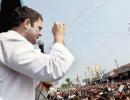 Pidi tweets for me: Rahul Gandhi on his Twitter popularity