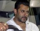 All you need to know about Salman's blackbuck case