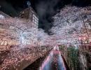 From lava spewing to pink blossoms: Nat Geo kicks off travel photo contest