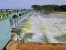 'Vital to look at Cauvery beyond water disputes'