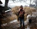 French farmer finds happiness in life without machines