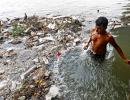 Put display boards indicating if Ganga water fit for bathing: NGT