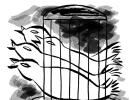 Poem from The Anda Cell: Now We Have More Freedoms