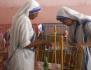 Sister, staff of Missionaries of Charity held for selling baby in Ranchi