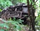 33 dead after bus carrying university staff falls into gorge in Maharashtra