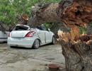 Over 100 killed as dust storm wreaks havoc in UP, Rajasthan