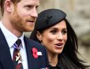 Harry-Meghan's royal wedding in numbers