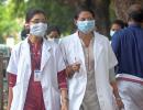 Nipah virus attack: Avoid mangoes, raw date palm