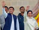 How Mayawati-Akhilesh plan to defeat Modi-Shah in UP