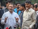 Naidu is Rahul's new troubleshooter