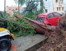 13 dead, over 81,000 evacuated as Cyclone Gaja batters Tamil Nadu