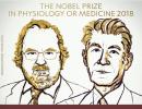 Cancer researchers win Nobel Prize in medicine