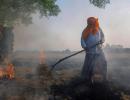 Why Punjab, Haryana farmers are defying ban on stubble burning