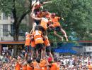 1 dead, 150 injured in dahi handi celebrations in Mumbai