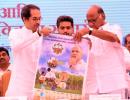 Sharad Pawar taught us...: Uddhav's dig at Fadnavis