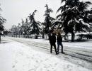 PHOTOS: Heavy snowfall paints Kashmir white