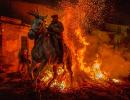 PHOTOS: Horses purified by fire at Spanish festival