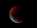 PHOTOS: 'Super blood wolf moon' lights up the sky