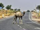 Coping with the heat in India's hottest city