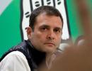 Rahul to contest from Wayanad along with Amethi