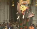 Controversial 54-yr-old tusker opens Thrissur Pooram