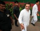 For Rahul, this election was win some, lose lots