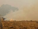 We are helpless: Punjab farmers on stubble burning