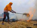 Why stubble burning will continue to choke NCR