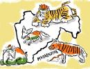 Maharashtra's Jungle Book