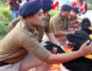 CISF canines retire with medals, selfies and hugs