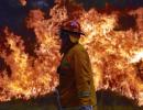 2.5 mn acres on fire: Australia's worst bushfires