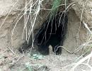 BSF detects 20-ft-long tunnel along India-Pak border