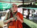 This monk offers shelter to snakes in monastery