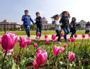 Rashtrapati Bhavan's Mughal Garden is in full bloom!