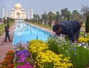 Taj Mahal gets a makeover before Trumps visit Agra