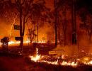 Bushfires: Can we work on climate, pleads Ashwin