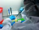 Oxford vaccine safe, induces immunity: Scientists